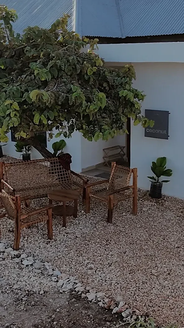 Garden seating under a tree