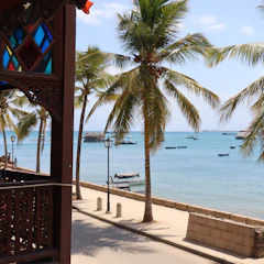 Stone Town waterfront with palms and a carved balcony